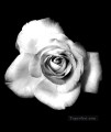 xsh507 黒と白の花